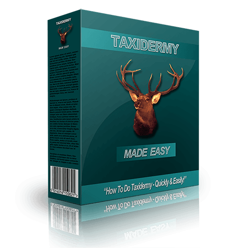 taxidermy-guide